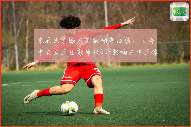 朱辰杰左膝内侧副韧带拉伤，上海申花后卫出勤率仅60%影响三中卫体系