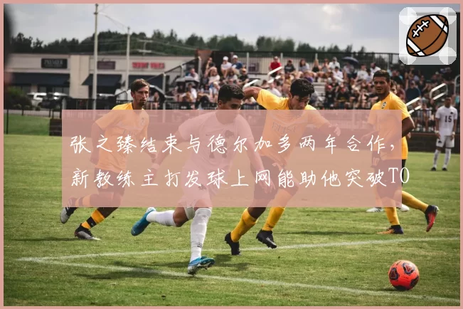 张之臻结束与德尔加多两年合作,新教练主打发球上网能助他突破TOP20吗?