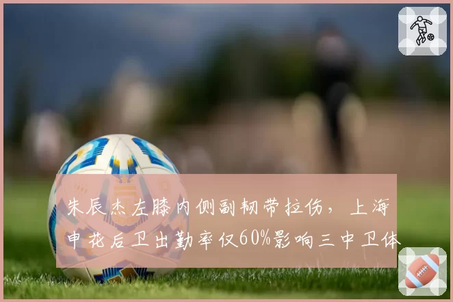 朱辰杰左膝内侧副韧带拉伤，上海申花后卫出勤率仅60%影响三中卫体系