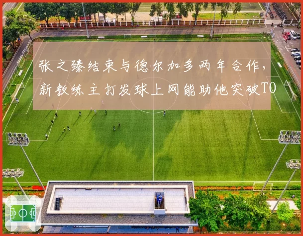 张之臻结束与德尔加多两年合作,新教练主打发球上网能助他突破TOP20吗?
